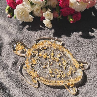 Tortue (plusieurs coloris)