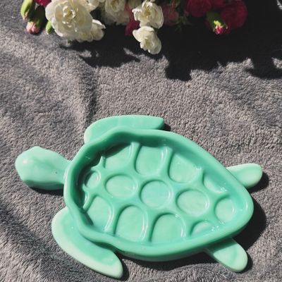 Tortue (plusieurs coloris)