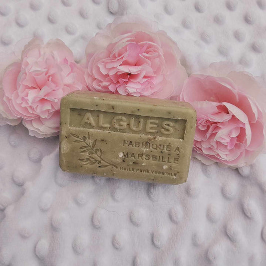 Algues