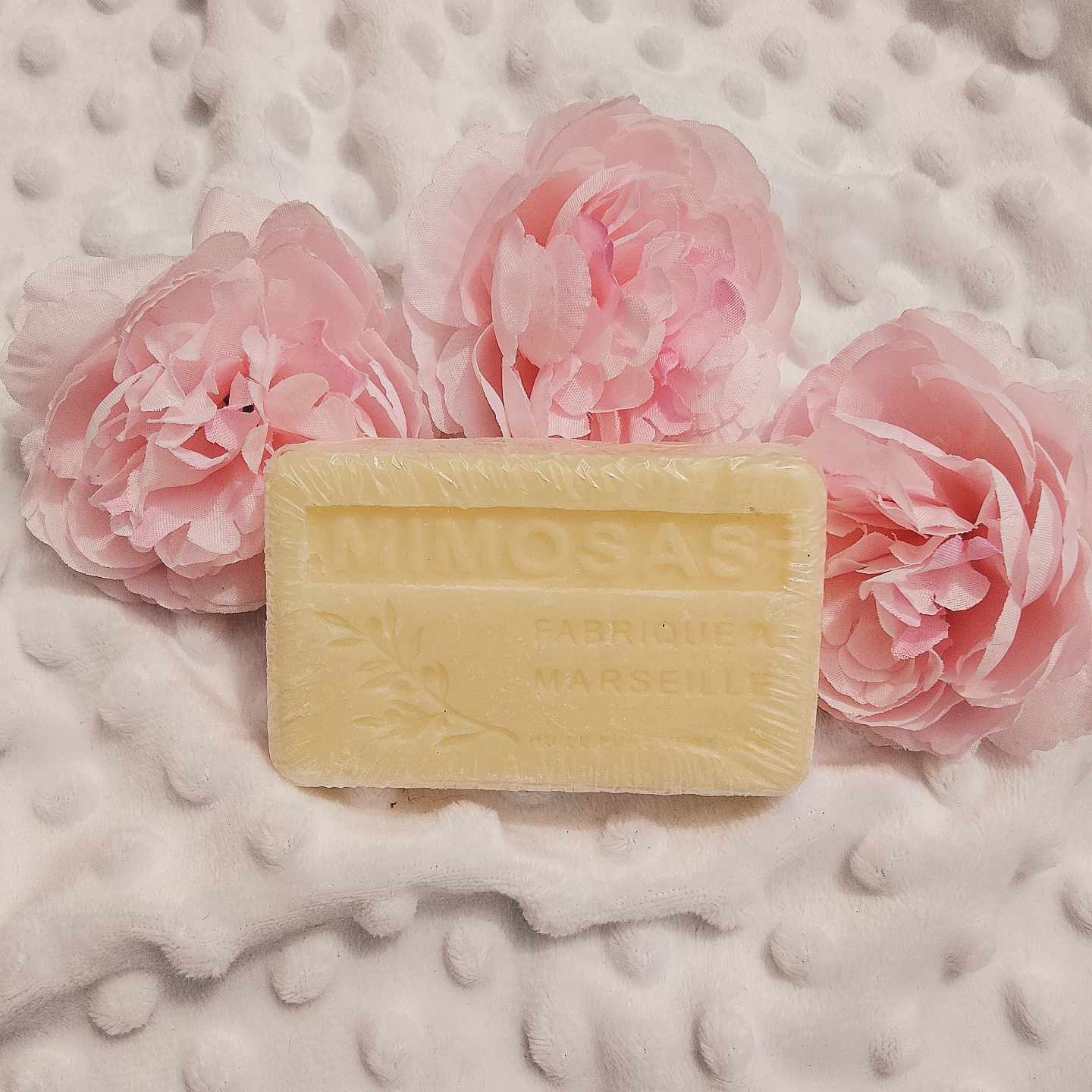 Mimosa