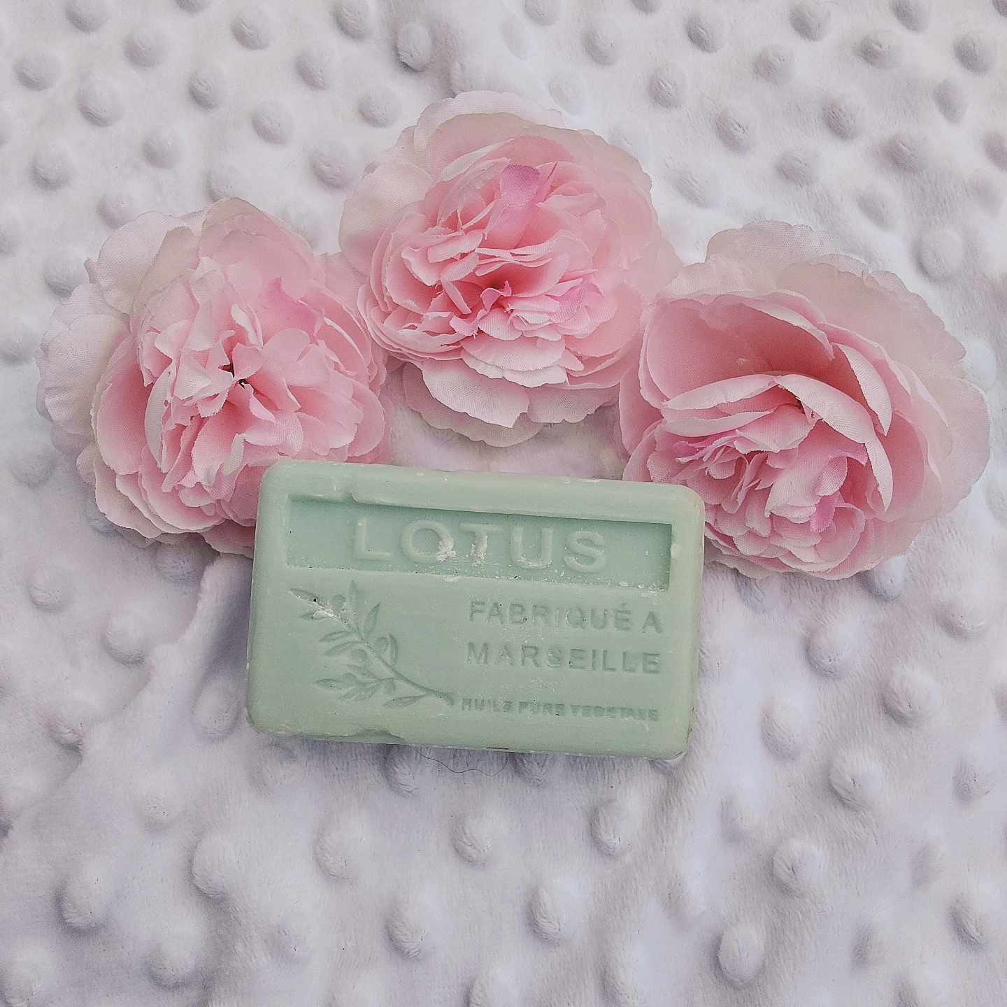 Lotus