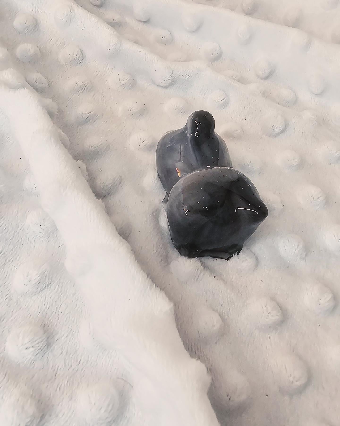 Petit Chat L